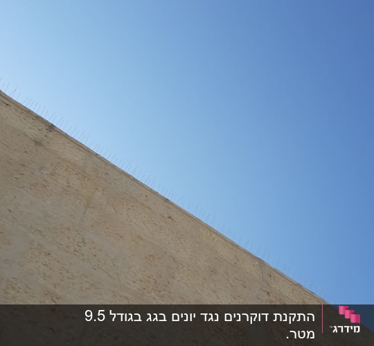 קוצים למניעת יונים על קיר אבן